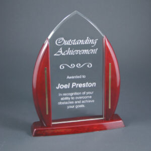 11" Arch Cathedral Acrylic Award