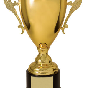 15 1/2" Gold Completed Metal Cup Trophy