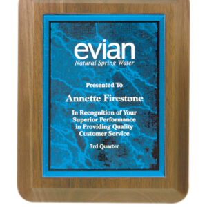 6 X 8 Plaque Award