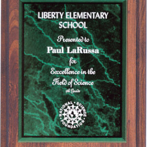 6 X 8 Plaque Award