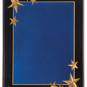 8 x 10 Plaque Award