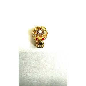 Elks New Member Pin