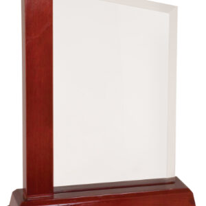 9" Acrylic Plaque Award