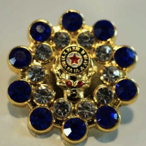 ELKS-pIN